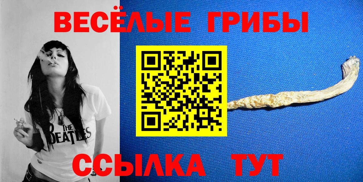 Зима  купить закладку  Вход с VPN  Галлюциногенные грибы ЛСД 