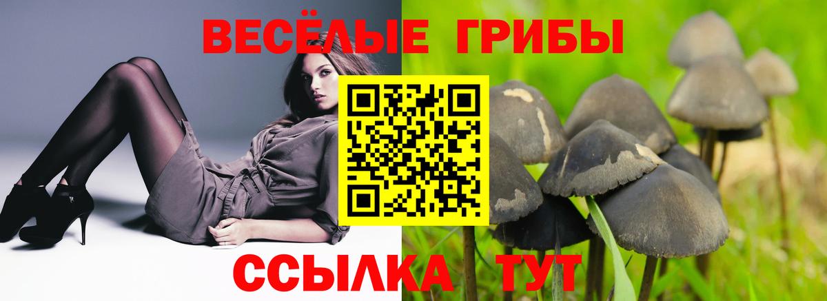 Галлюциногенные грибы прущие грибы Зима