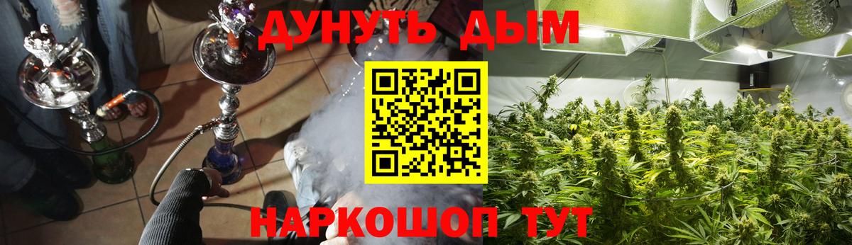 Конопля конопля Зима